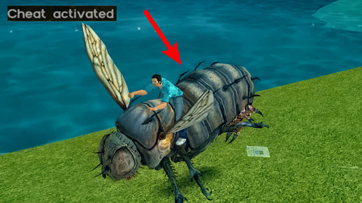 ...